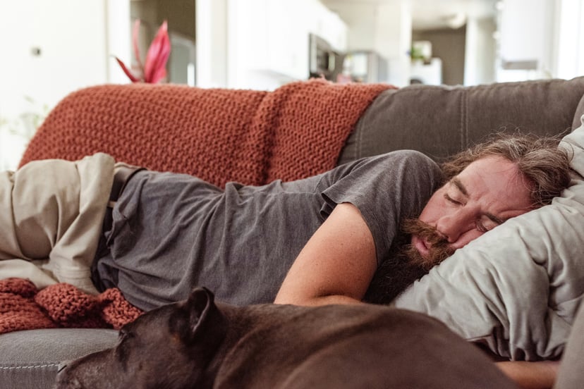a man napping on a sofa next to his sleeping dog