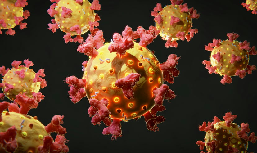 Close up of Novovirus cells