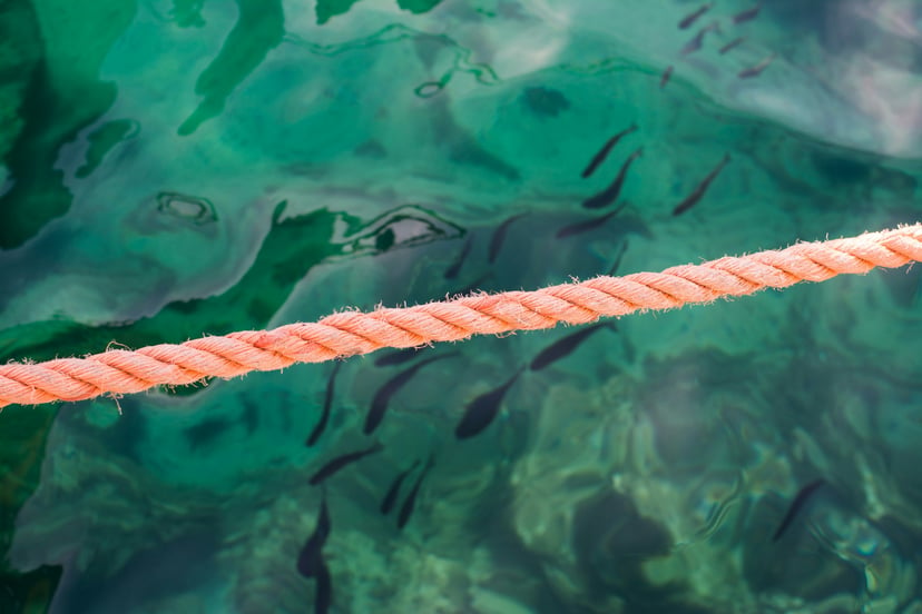 A mooring line