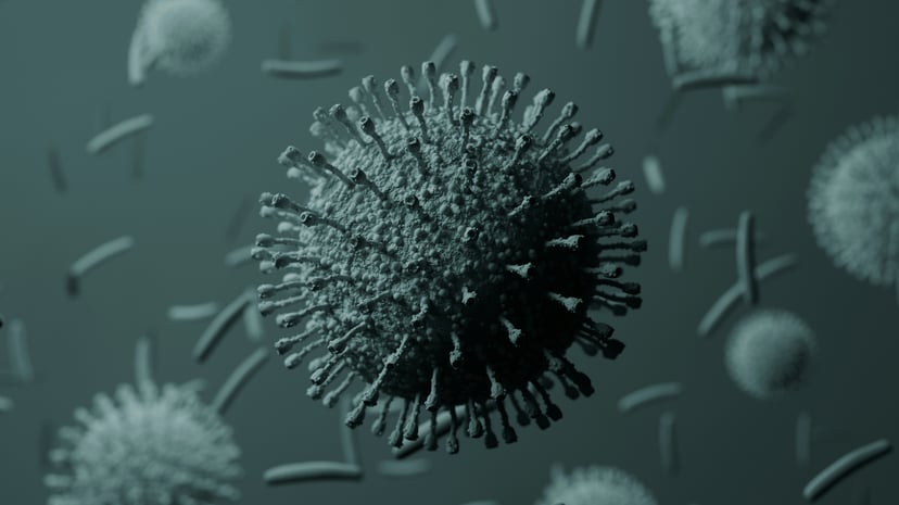 A close up image of the Novovirus 
