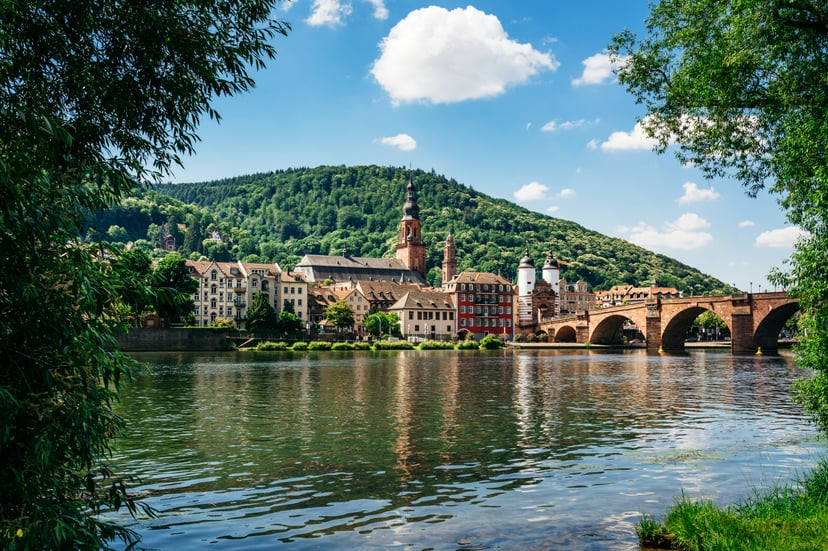 Buildings and a bridge along the River Rhine