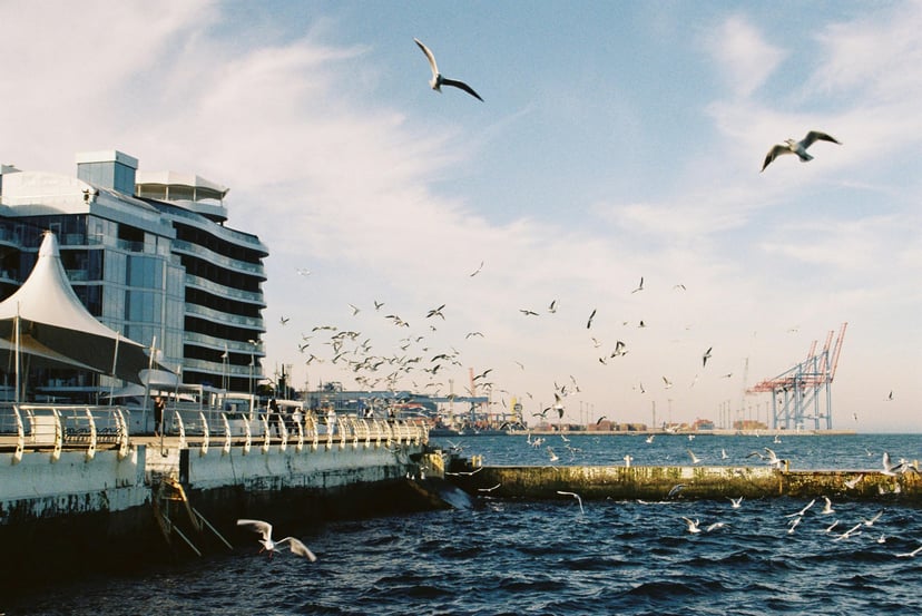 The Port of Odesa, Ukraine