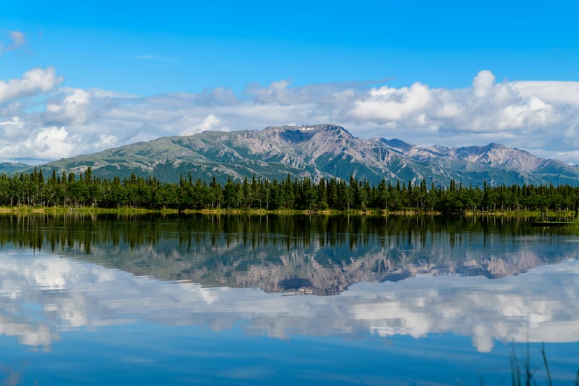 Mountains and fir trees on the edge of a lake in Alaska