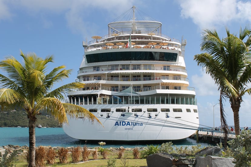 The AIDAluna cruise ship moored between two palm trees