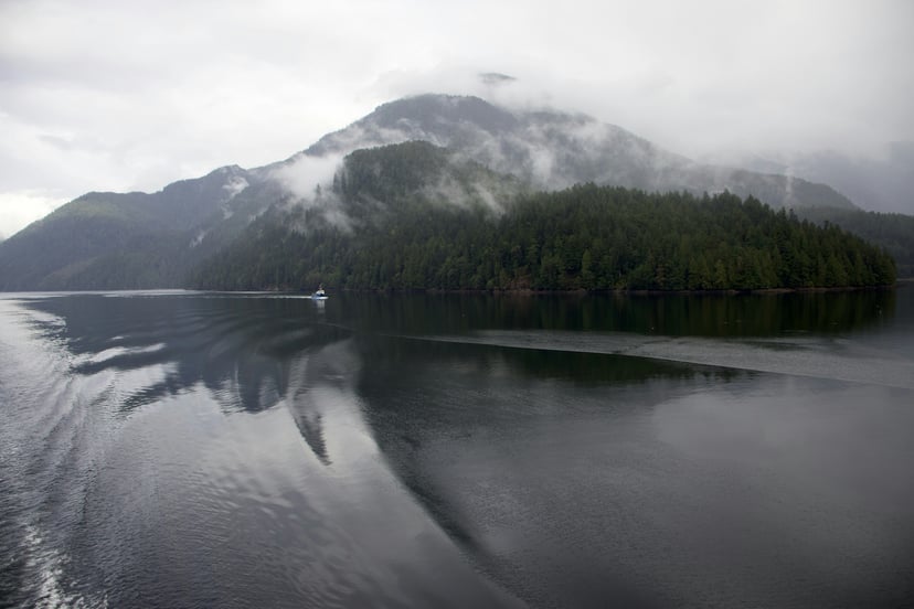 The Great Bear Rainforest shrouded in mist as seen from the water