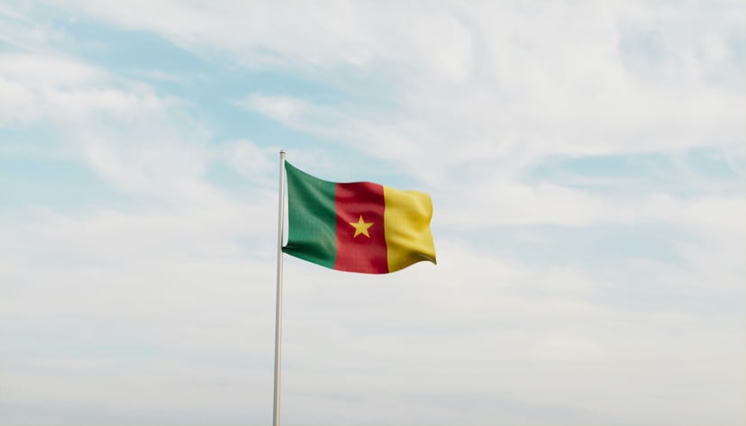 The flag of Cameroon