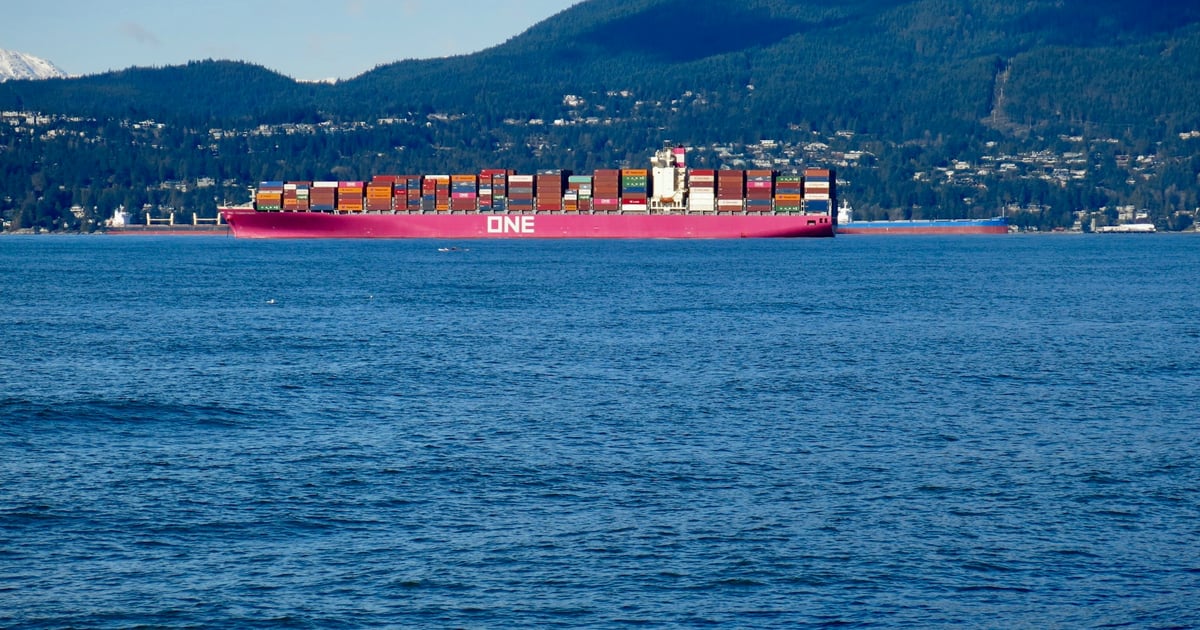 Container Ship Experiences Engine Trouble, Anchored for Repairs ...