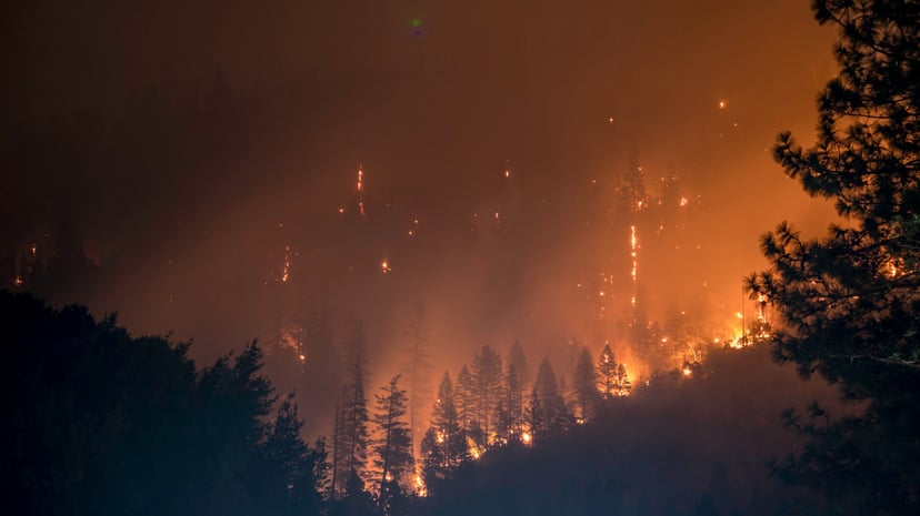 A forest fire at night