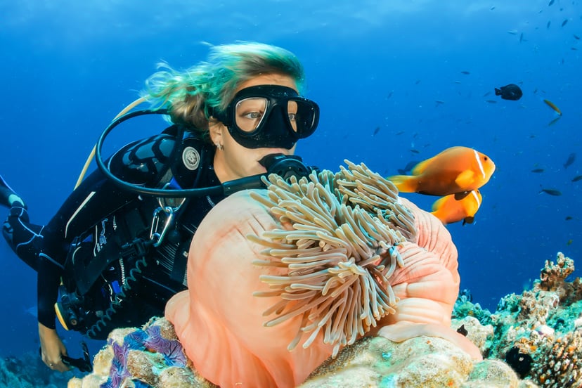 a woman scuba diving and exploring coral