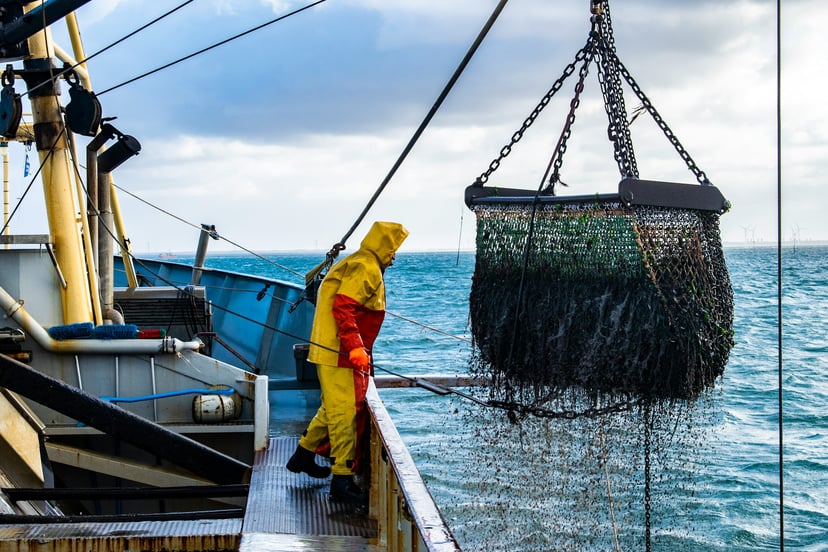 A fisherman working on a trawler