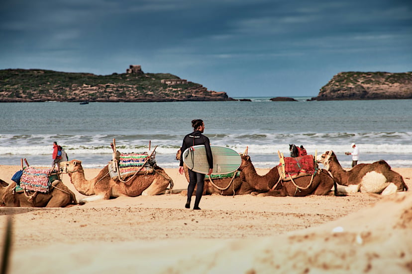 A man in a wetsuit carrying a surfboard while camels relax on the beach in front of him