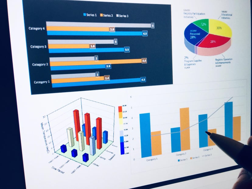 SAP charts and diagrams on a computer screen