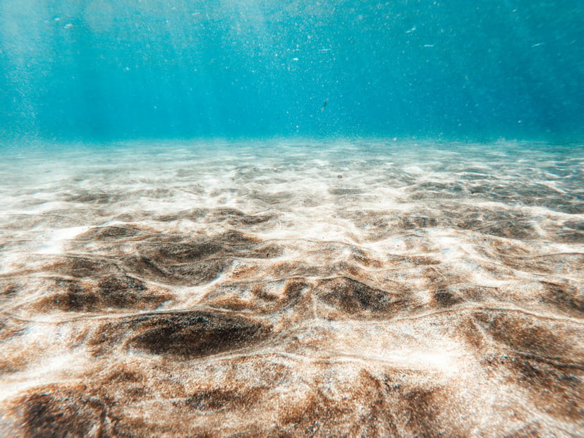 The sea floor