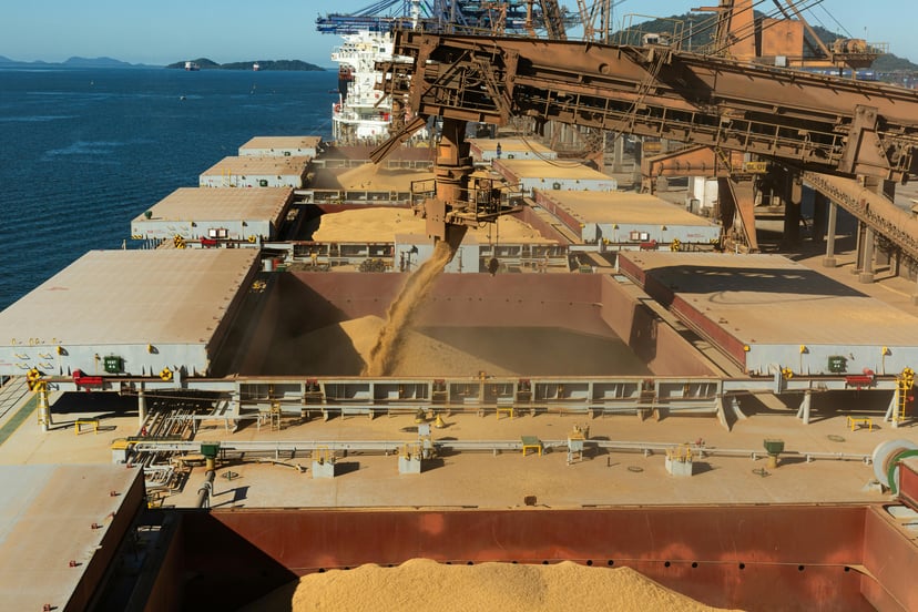 sand being loaded into a bulk carriers cargo holds
