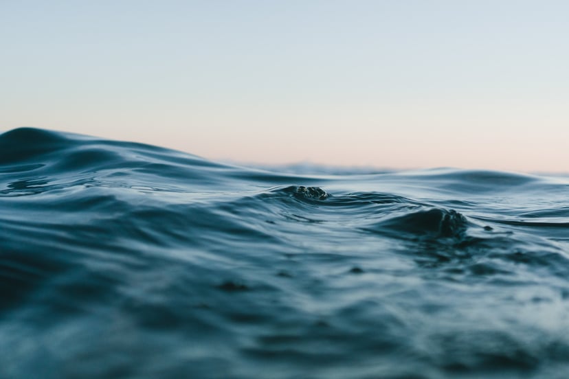 The ocean