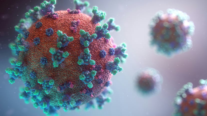 A visualization of a virus