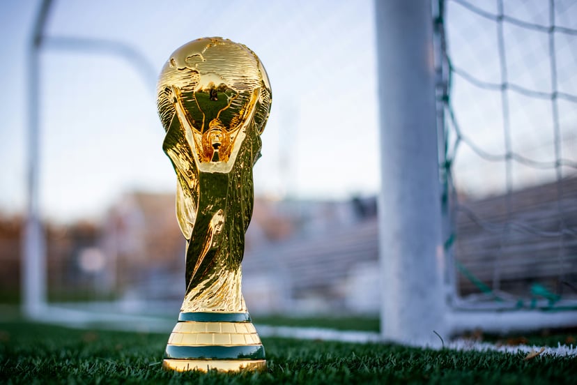 The FIFA WorldCup trophy and a goal