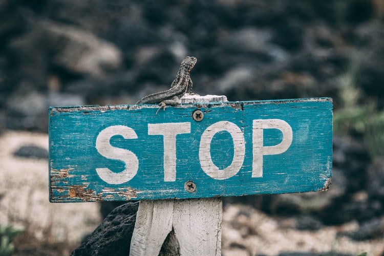 wooden sign saying 'stop'