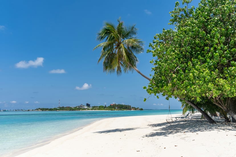 A sandy beach in the Seychelles