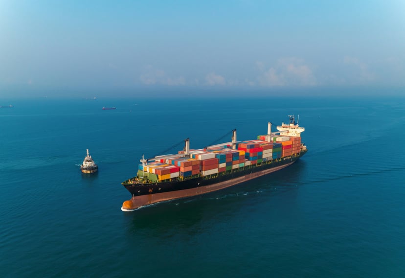 A container ship and a tugboat at sea