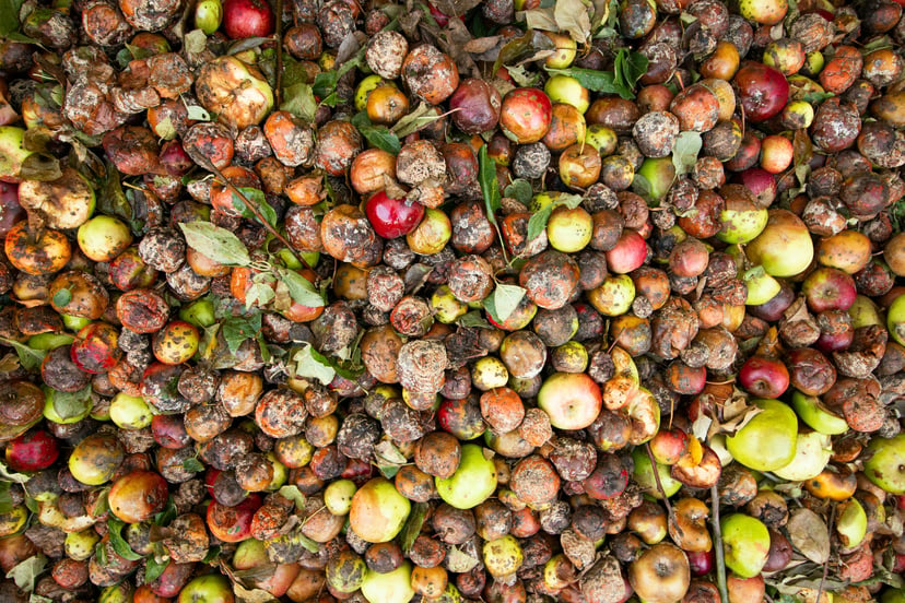 Rotting fruit and vegetables