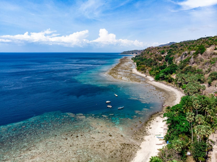 An African coastline
