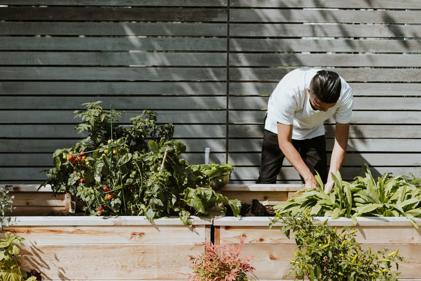 a man gardening