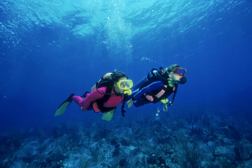 two scuba divers swimming just above the seabed