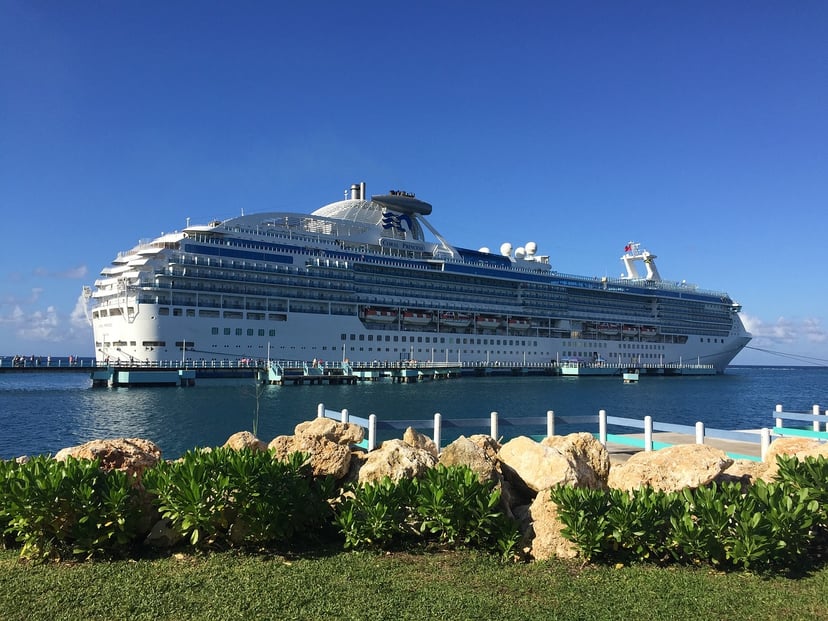 The Coral Princess cruise ship sailing near land