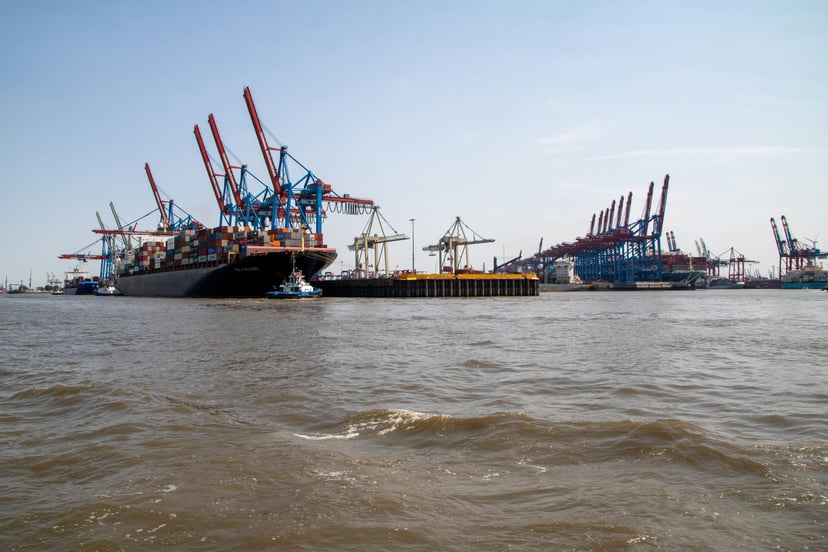 Container ships docked in a port