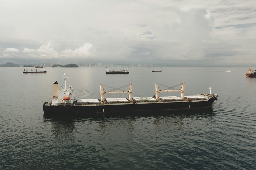 Bulk carriers at sea