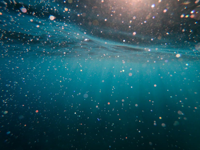 Sunlight shining under the ocean's surface