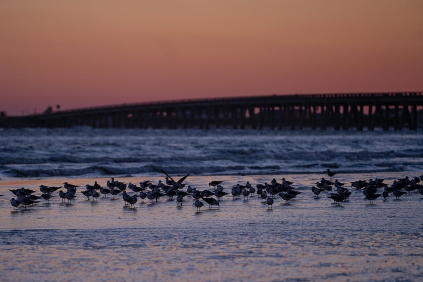 A bridge in Galveston, Texas at sunset