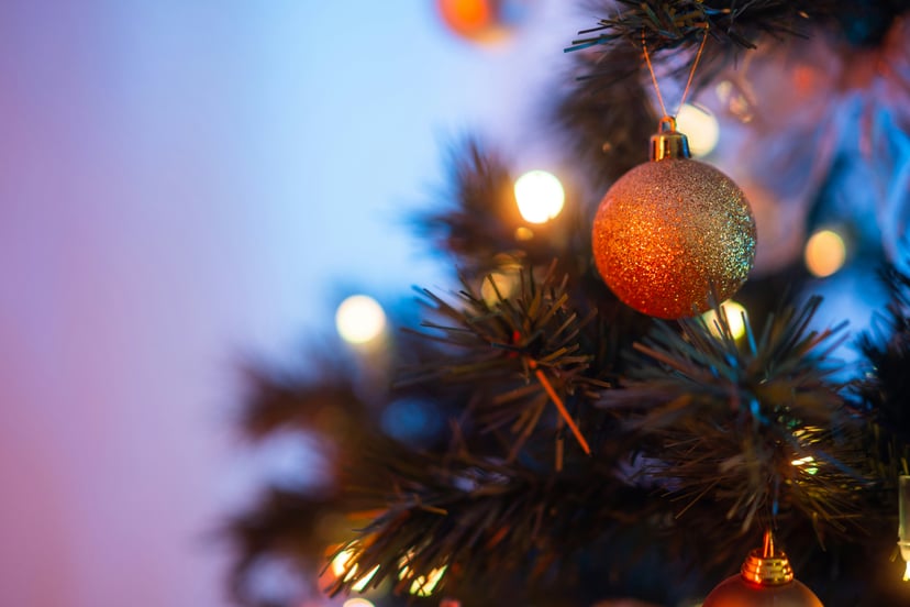 Close up of a Christmas tree branch and a gold bauble and lights