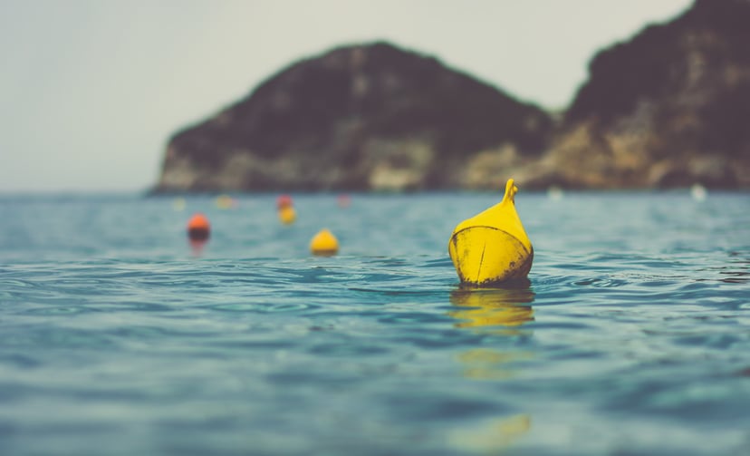 buoys floating on water