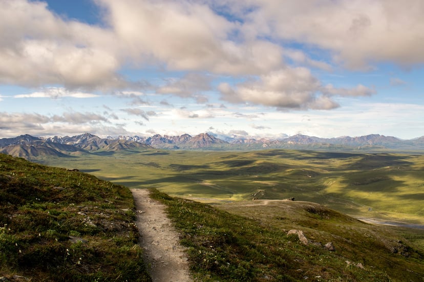 Denali National Park in Alaska