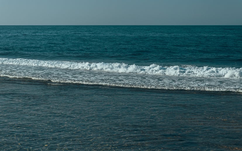 The Red Sea