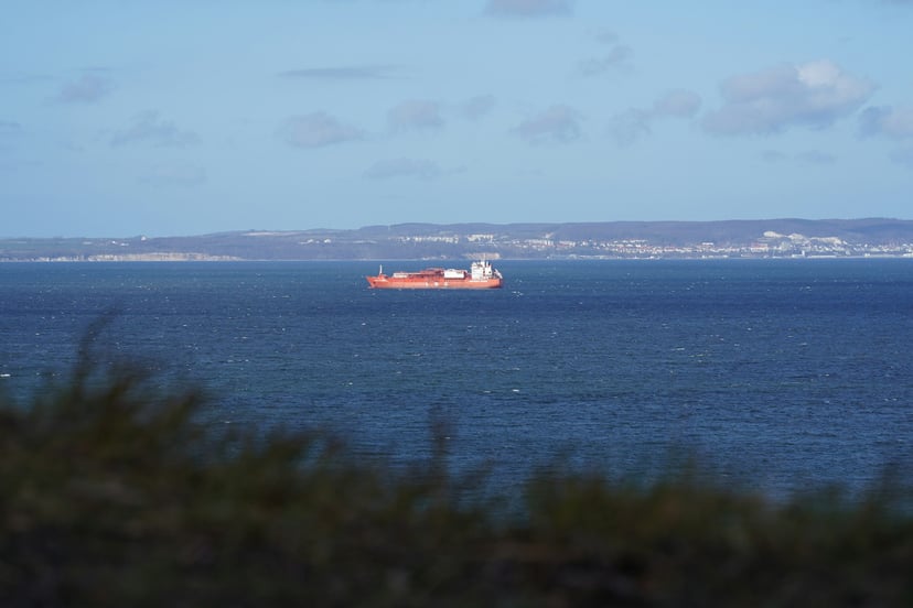 An LNG tanker at sea as seen from behind trees ashore