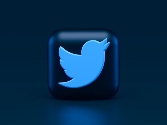 the twitter bird logo