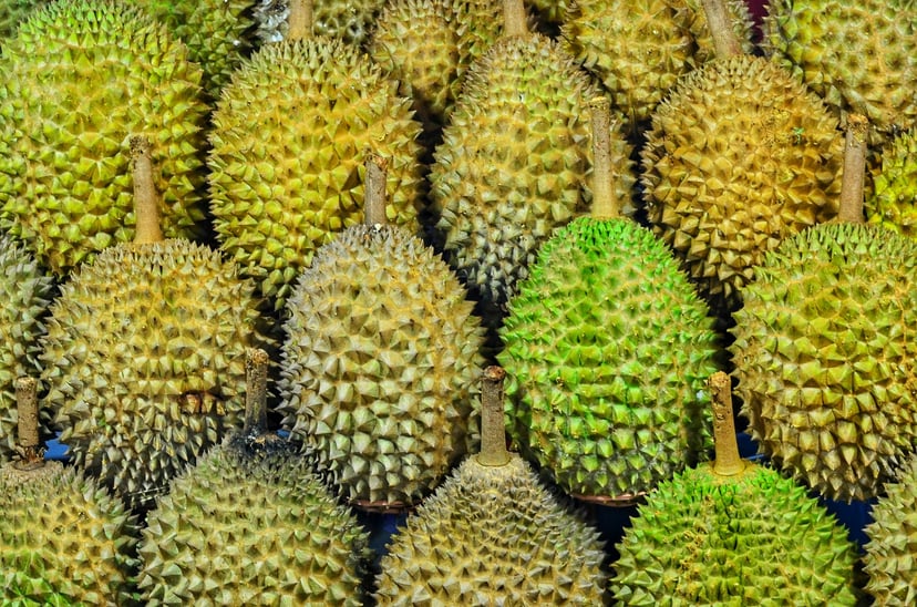 Durian fruit