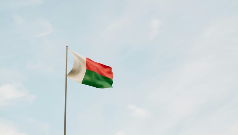 The flag of Madagascar 