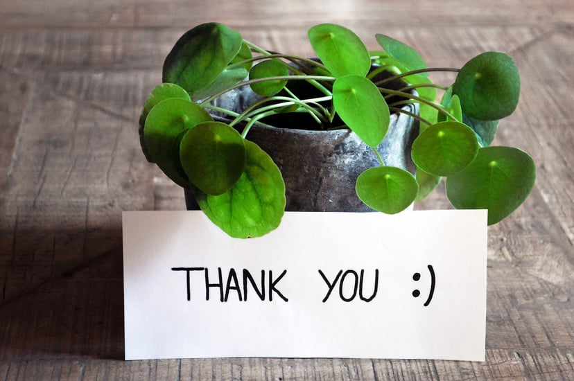a potted plant with a card saying 'thank you'