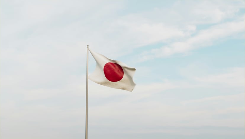 The Japanese flag
