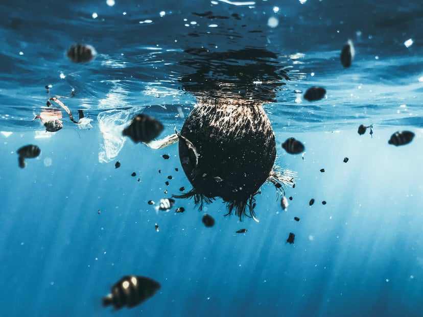 pollution in the ocean