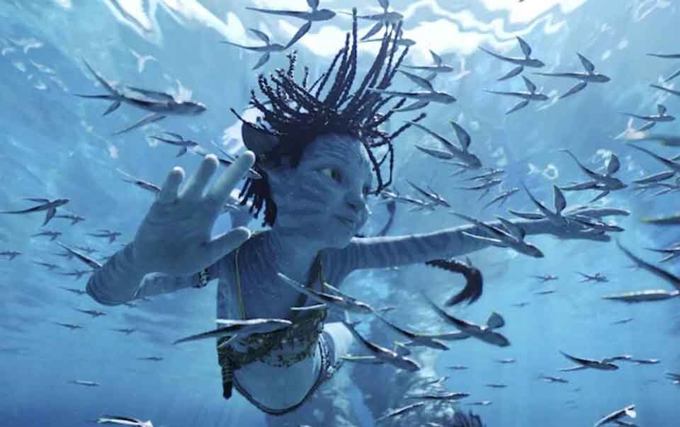 Avatar the way of water surpasses titanic