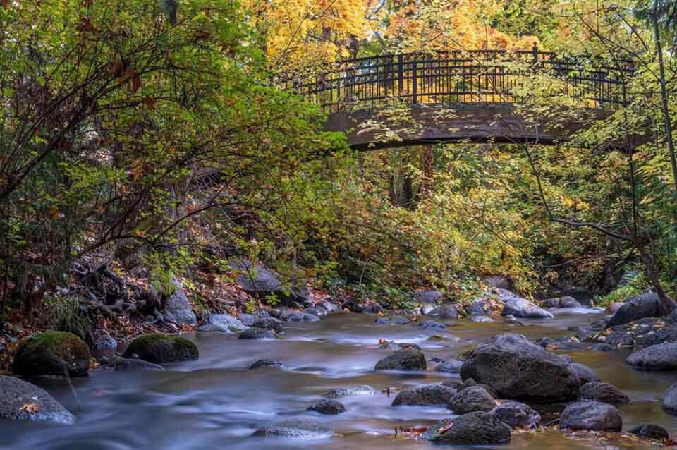 See the Rogue River in Ashland