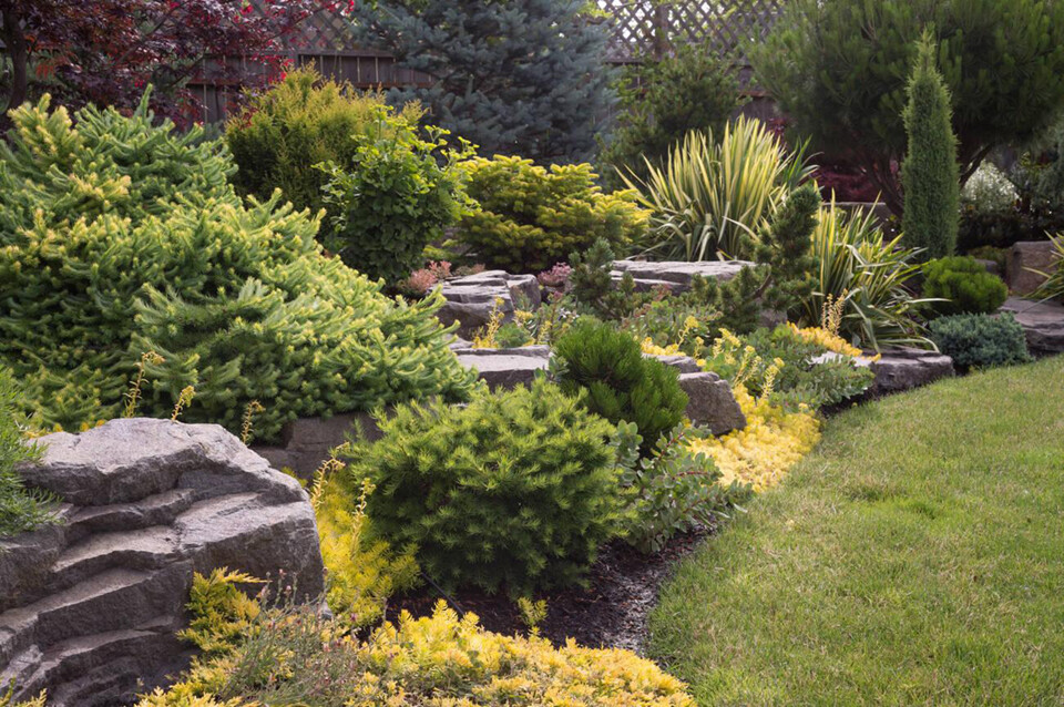 Best Landscapers in Medford Oregon