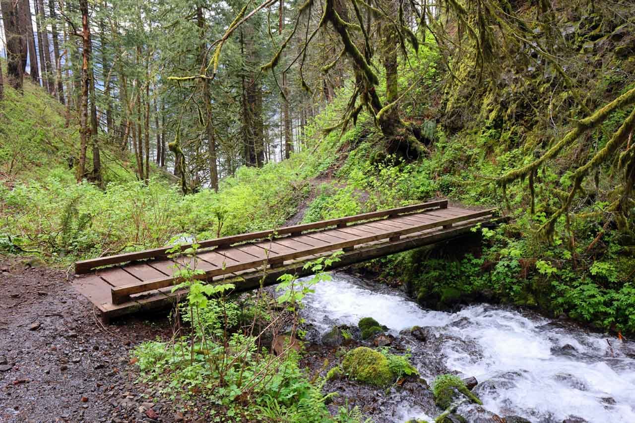 Wahkeena Trail in Multnomah Falls, Columbia River Gorge.