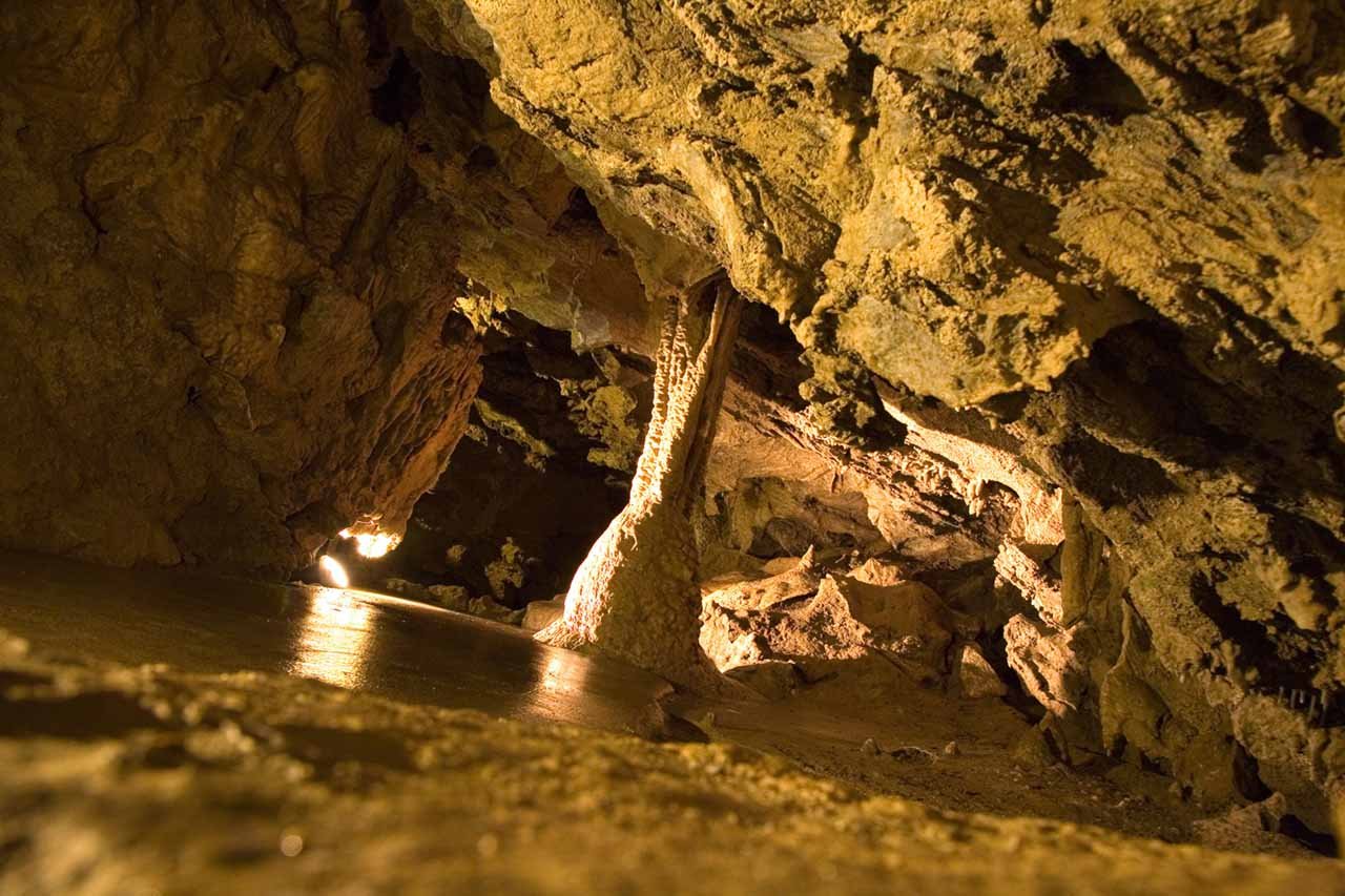 Oregon Caves