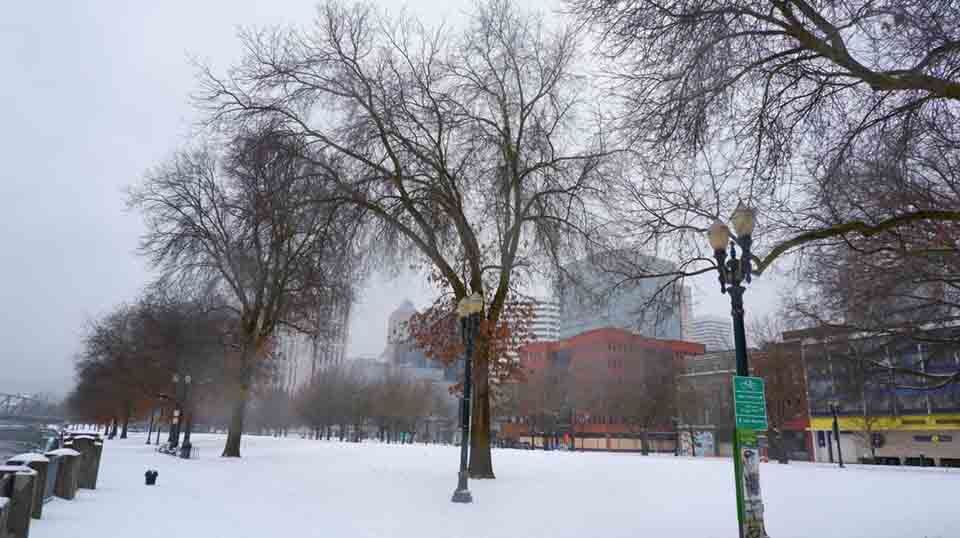 Storm and Cold Weather in Oregon Wreak Havoc - Portland Oregon